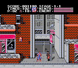 Ninja Gaiden gameplay screenshot